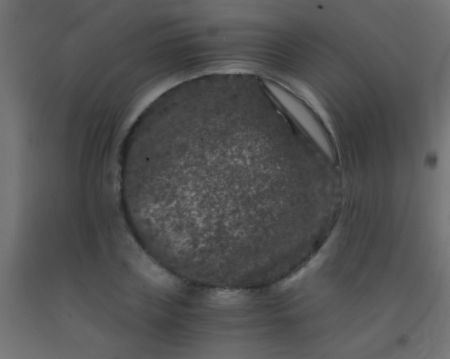 X0000092290835200709281304