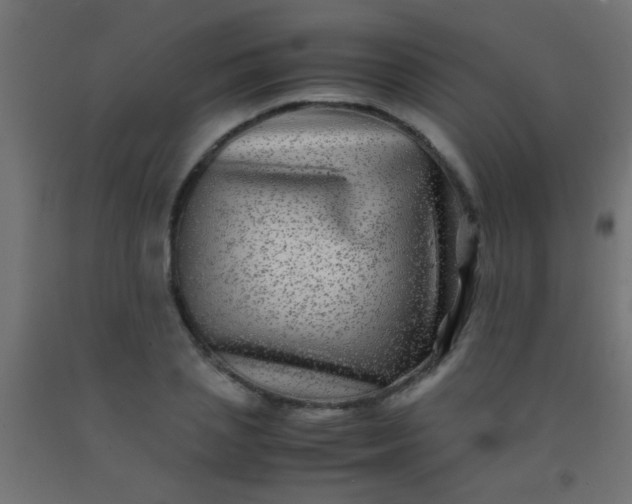 X0000092290837200709281304