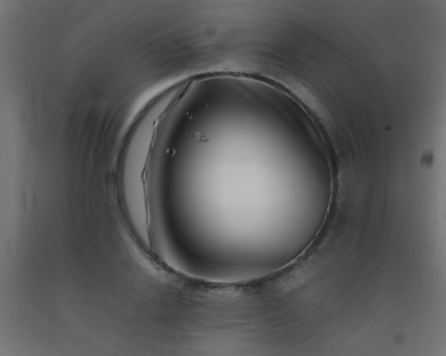 X0000092290838200709281304