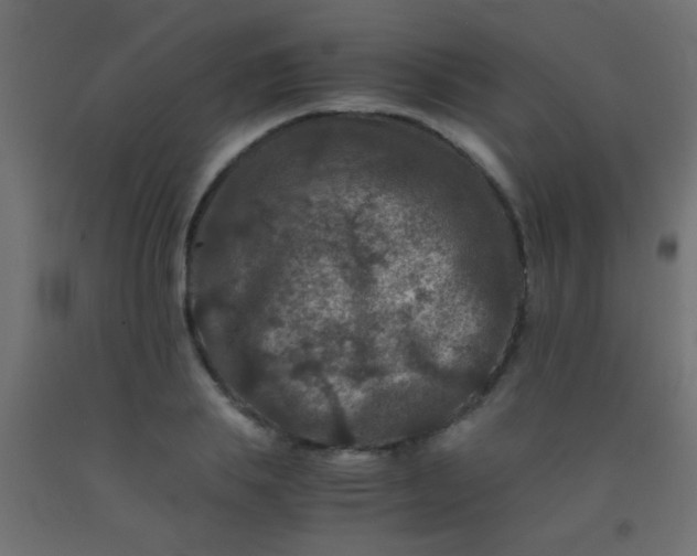 X0000092290839200709281304