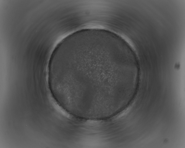 X0000092290840200709281304