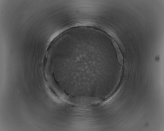 X0000092290842200709281304