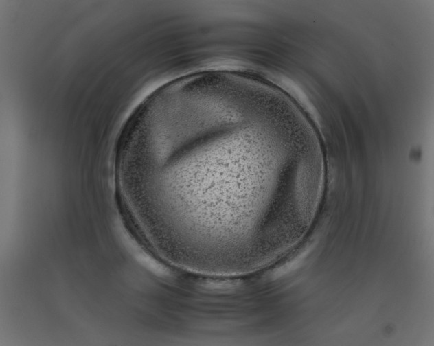 X0000092290843200709281304