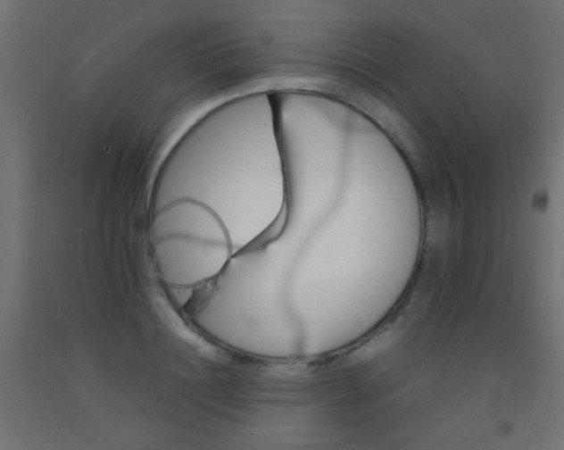 X0000092290844200709281304