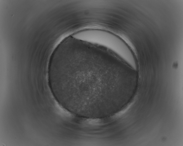 X0000092290845200709281304