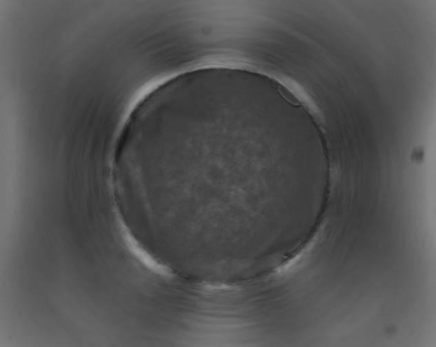 X0000092290846200709281304