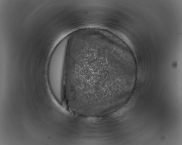 X0000092290847200709281304