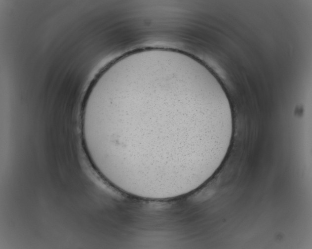 X0000092290848200709281304