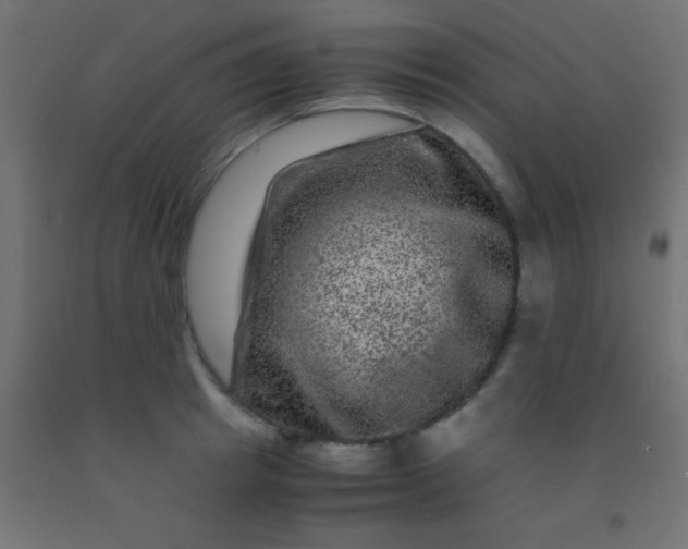 X0000092290849200709281304