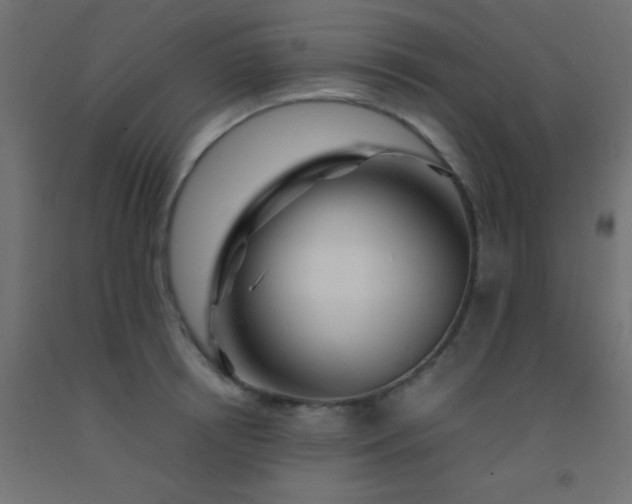 X0000092290850200709281304