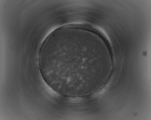 X0000092290851200709281304