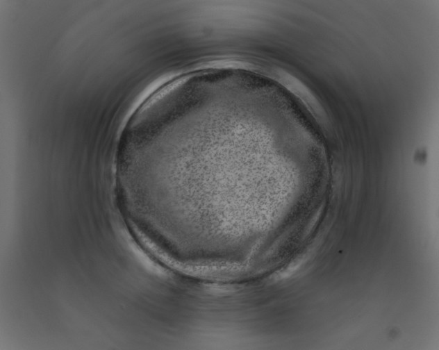 X0000092290852200709281304