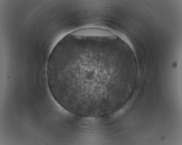 X0000092290855200709281304