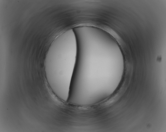 X0000092290857200709281304