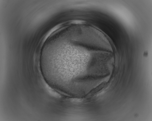 X0000092290861200709281304