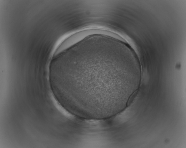 X0000092290862200709281304