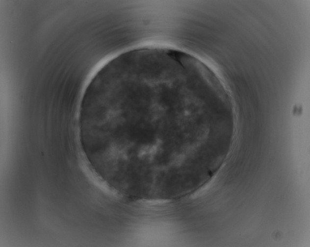 X0000092290864200709281305