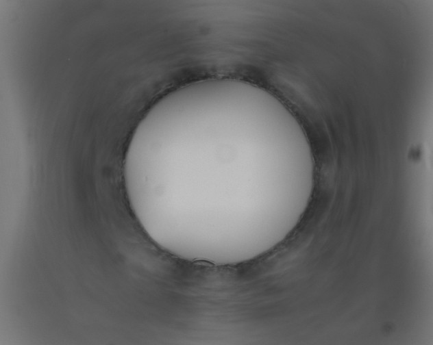 X0000092290865200709281304