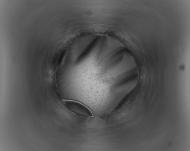 X0000092290866200709281304