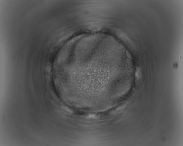 X0000092290867200709281304