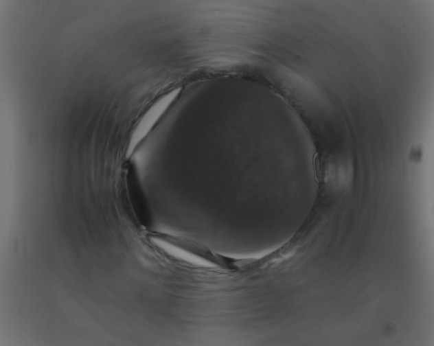 X0000092290868200709281304