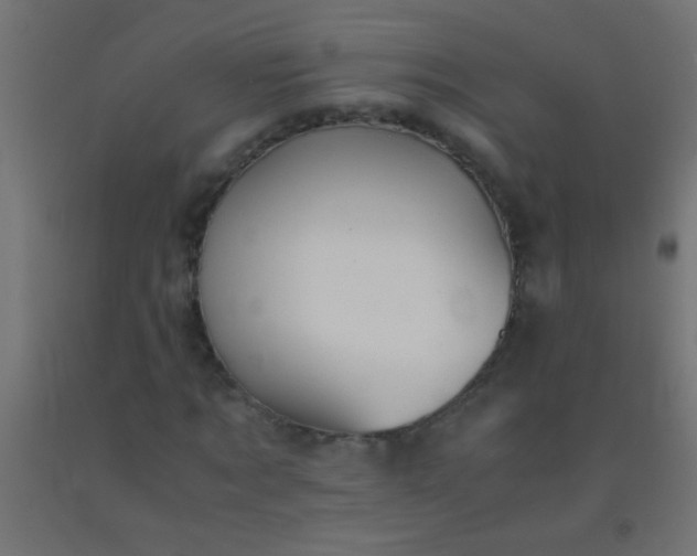 X0000092290869200709281304