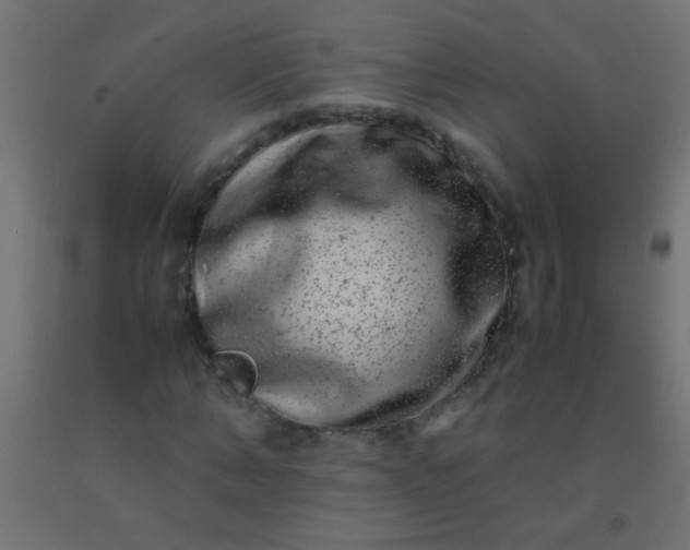 X0000092290870200709281304