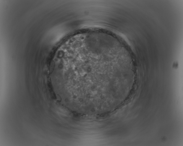 X0000092290871200709281304