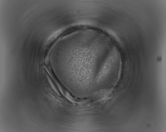 X0000092290872200709281304