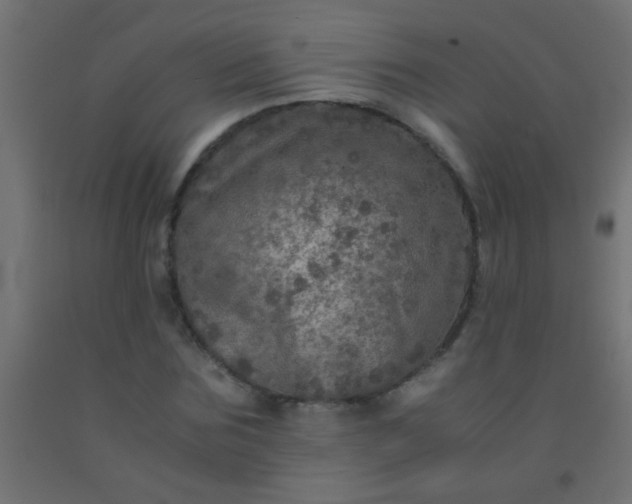 X0000092290875200709281304