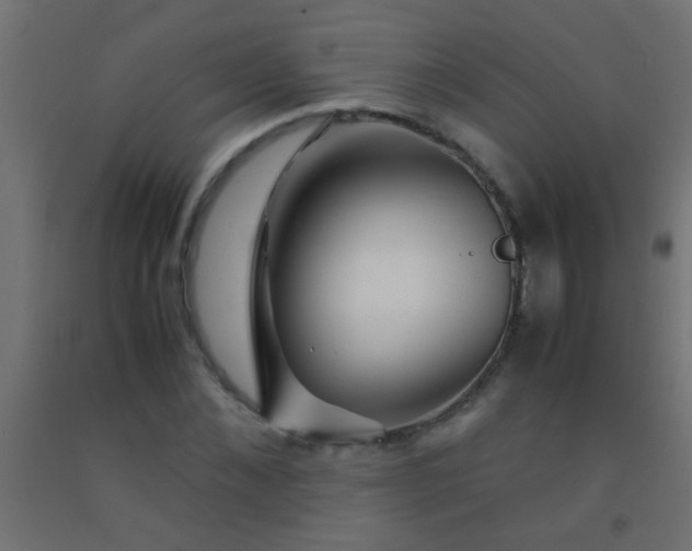 X0000092290876200709281304