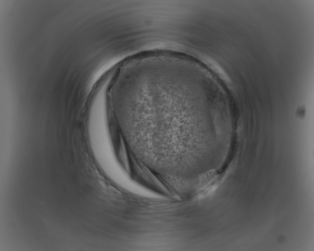 X0000092290877200709281304