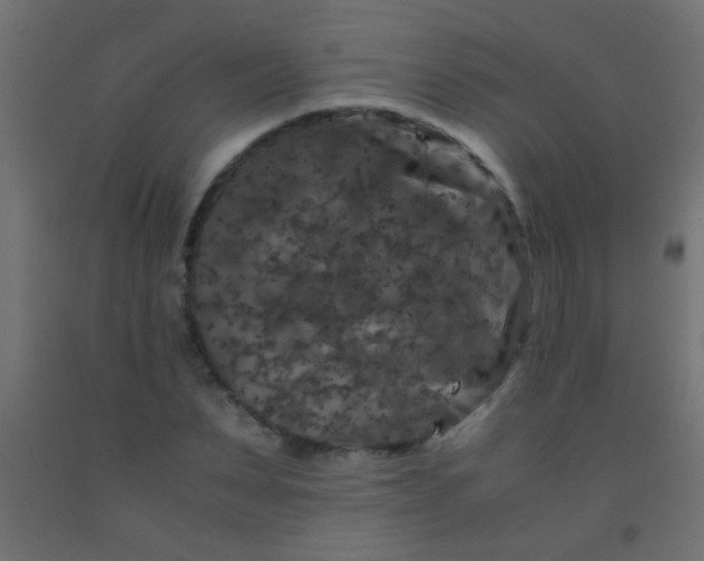 X0000092290879200709281304