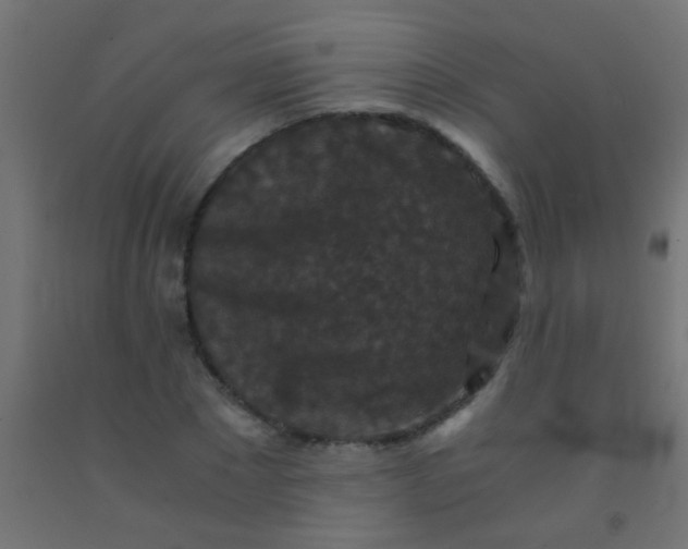 X0000092290881200709281304