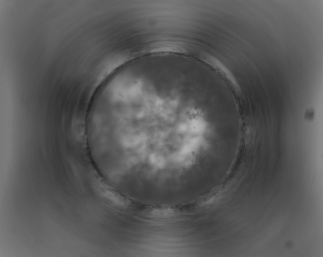 X0000092290882200709281304