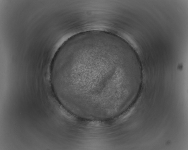 X0000092290883200709281304