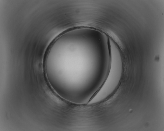 X0000092290884200709281304