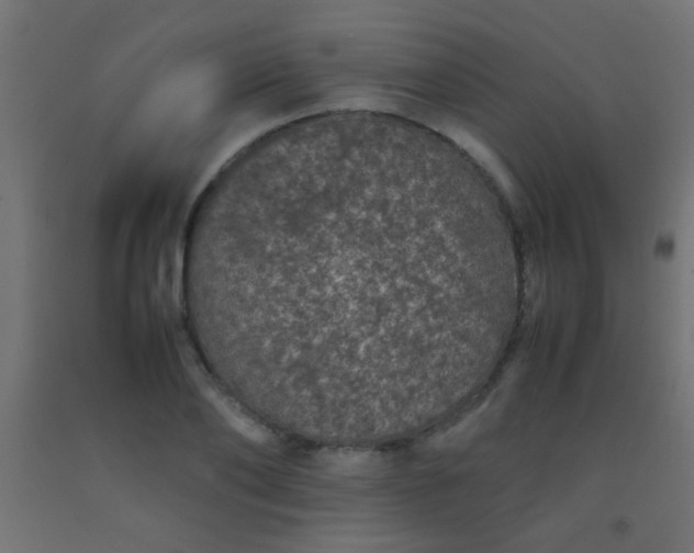 X0000092290886200709281304