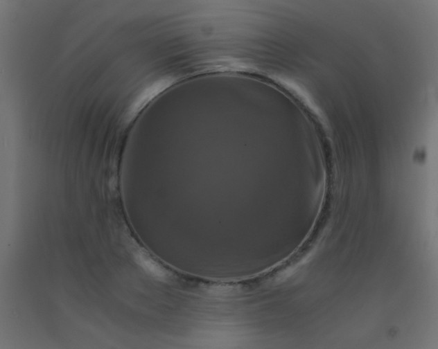 X0000092290889200709281304