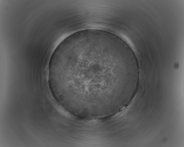 X0000092290891200709281304