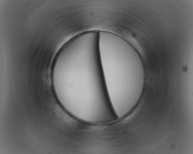 X0000092290892200709281303