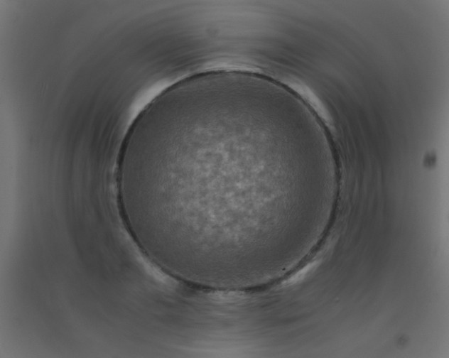 X0000092290893200709281303