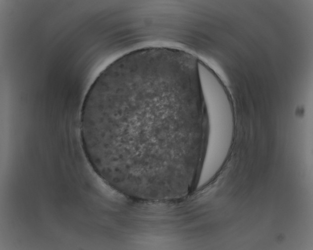 X0000092290895200709281303