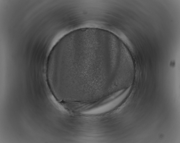 X0000092290896200709281303