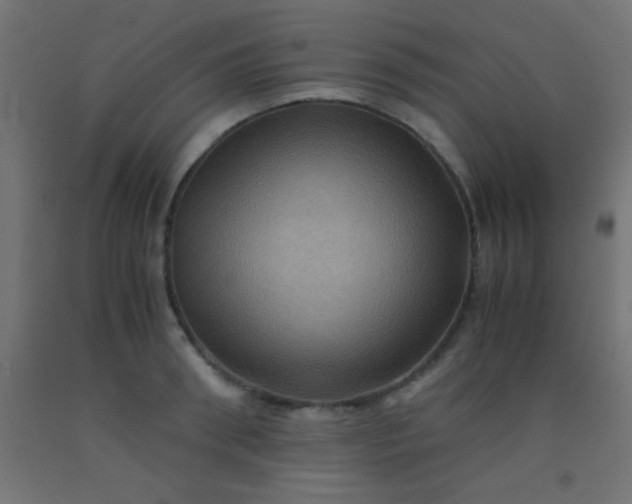 X0000092290898200709281303