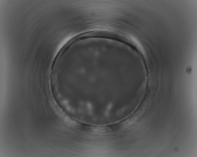 X0000092290899200709281303