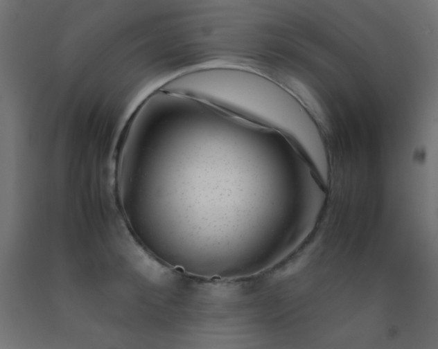 X0000092290900200709281303