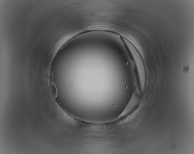 X0000092290901200709281303