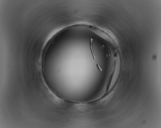 X0000092290902200709281303