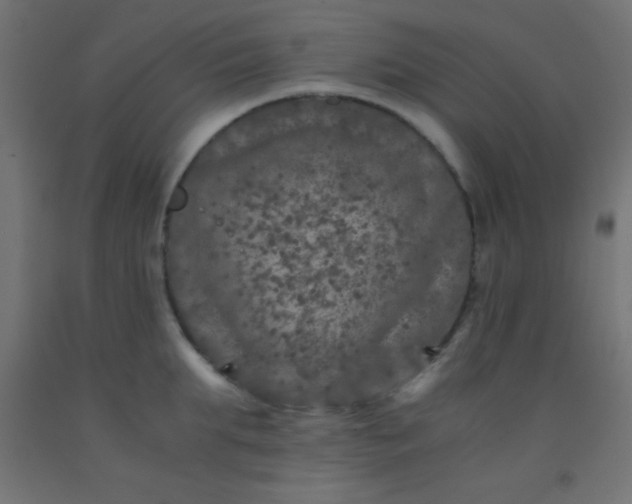 X0000092290903200709281303